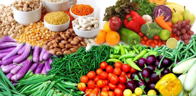 BİTKİSEL ÜRETİM 2.TAHMİNİ, 2018