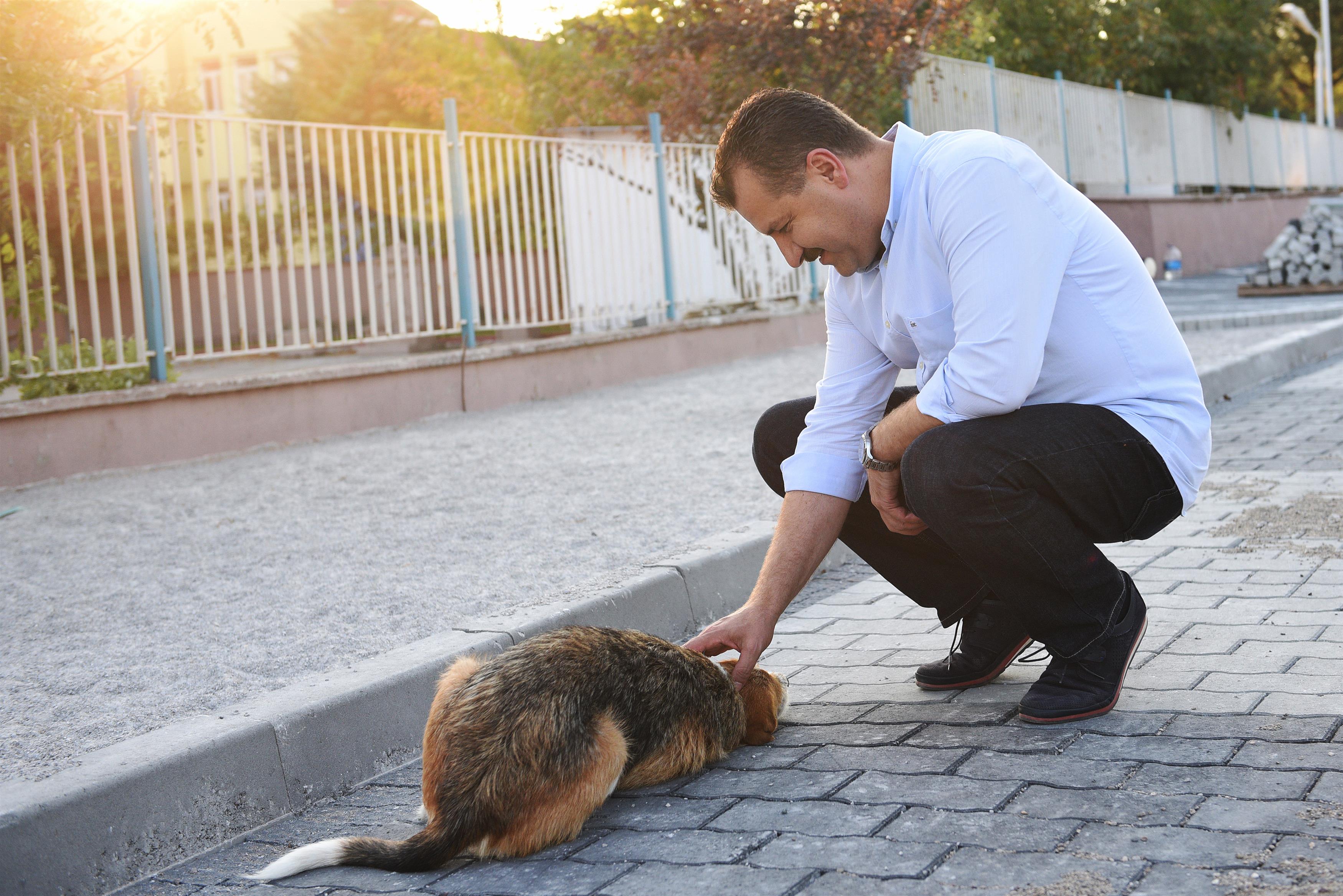 HAYVANSEVER BELEDİYE KARESİ