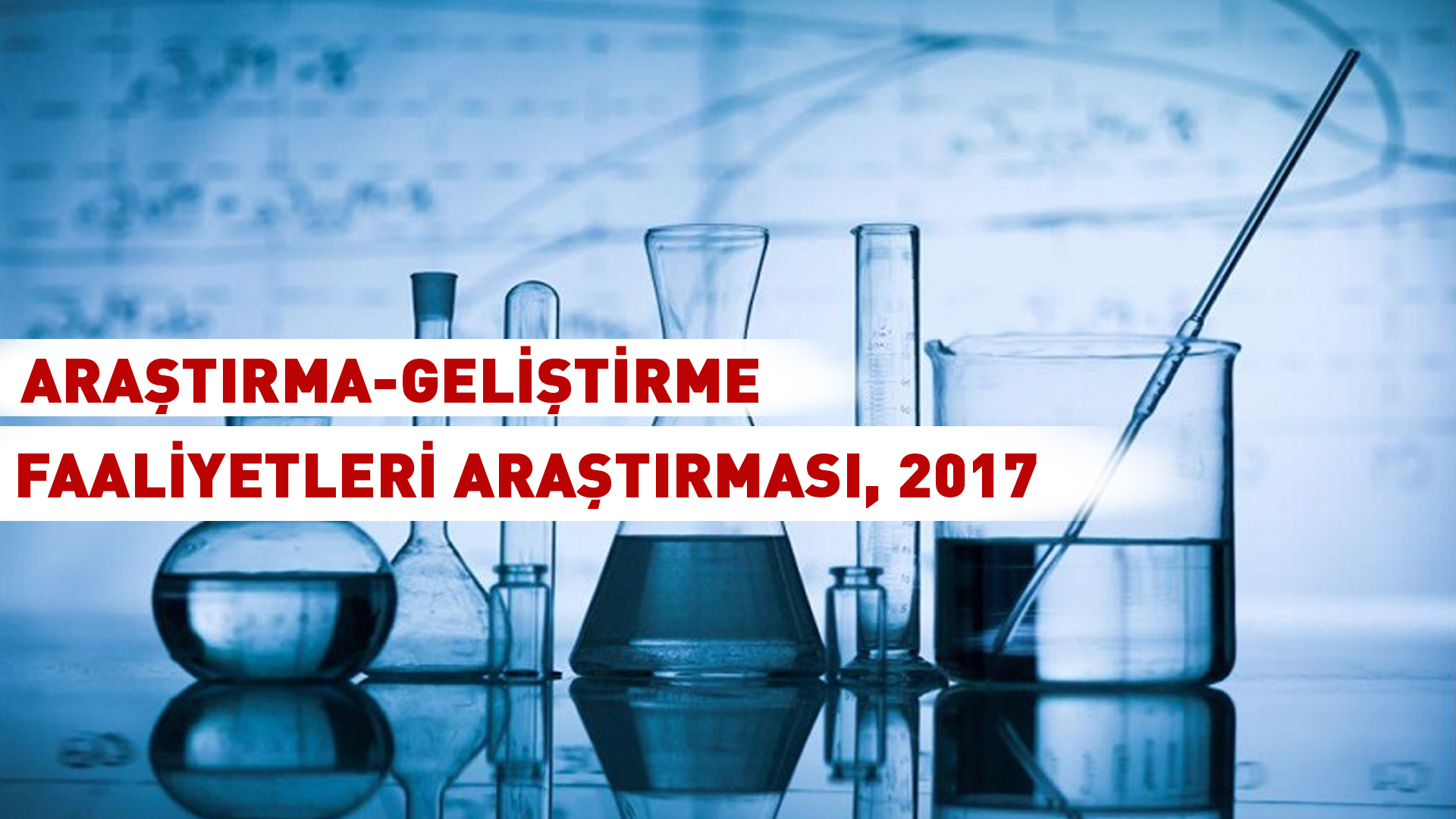 ARAŞTIRMA-GELİŞTİRME FAALİYETLERİ ARAŞTIRMASI, 2017