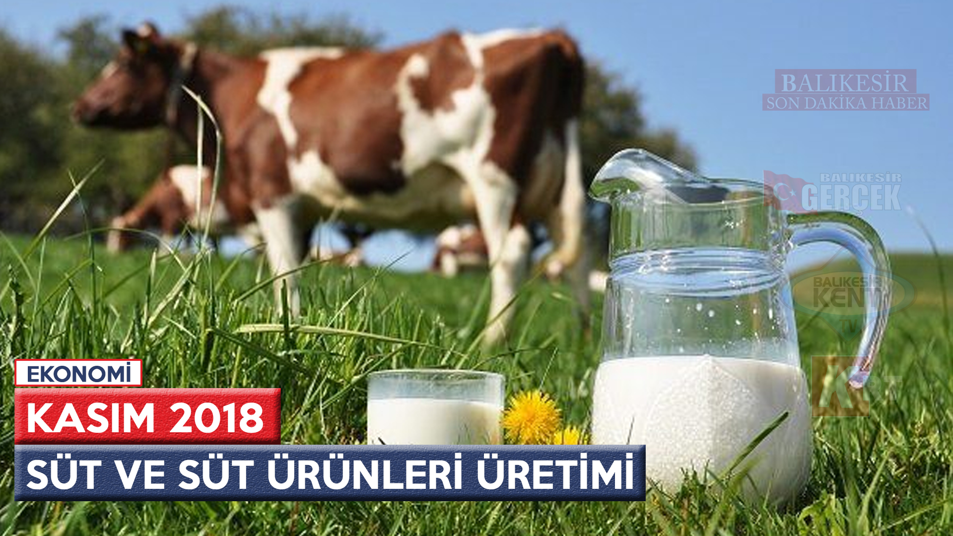 SÜT VE SÜT ÜRÜNLERİ ÜRETİMİ, KASIM 2018