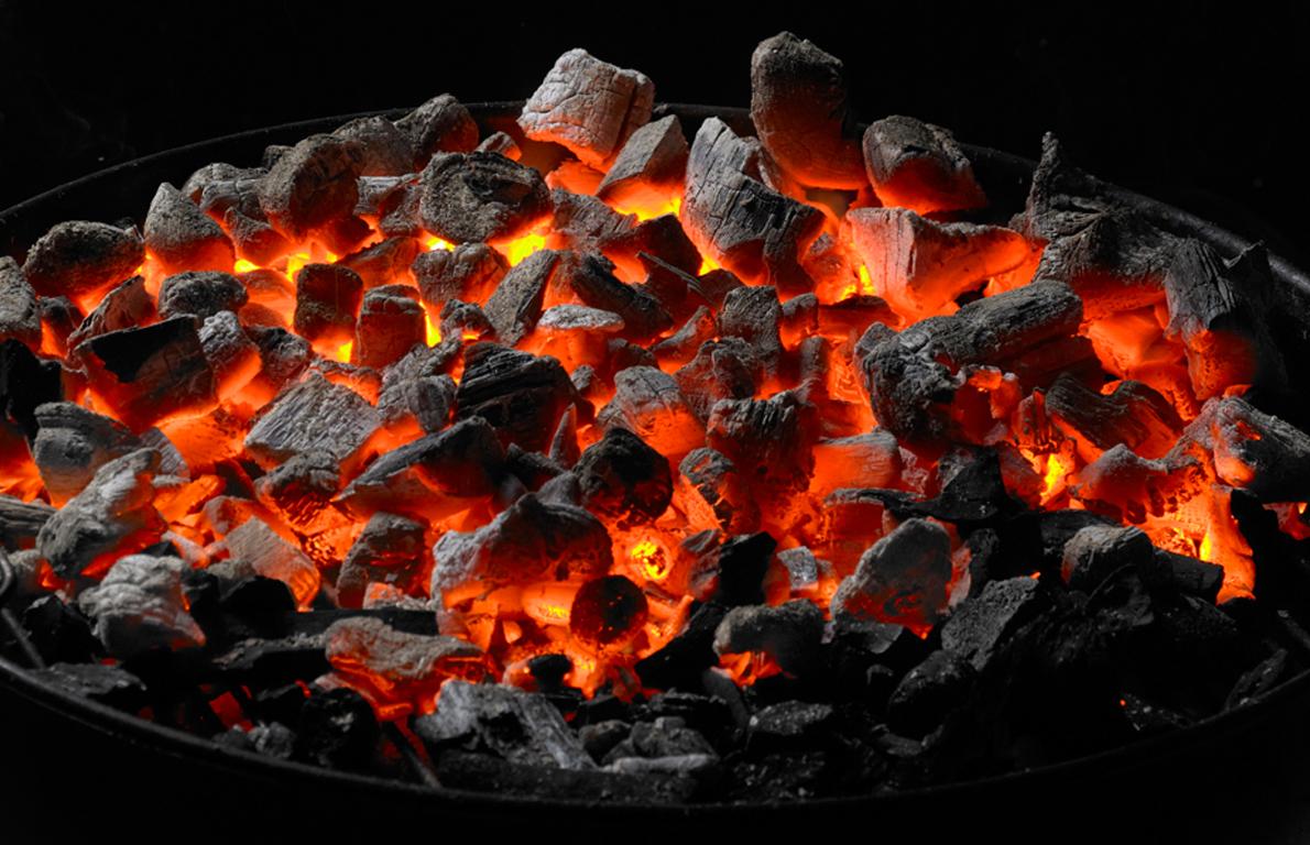 KATI YAKITLAR, OCAK 2019