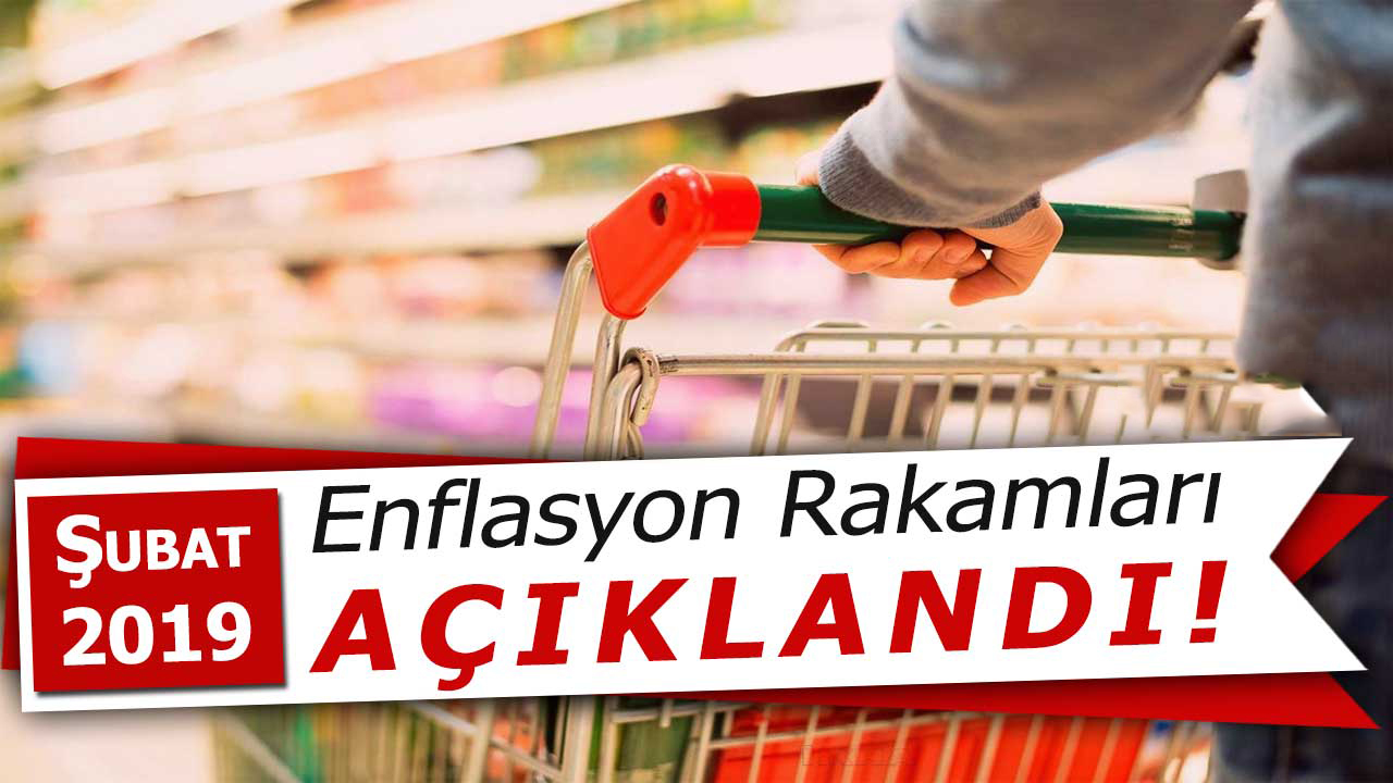 TÜKETİCİ FİYAT ENDEKSİ, ŞUBAT 2019