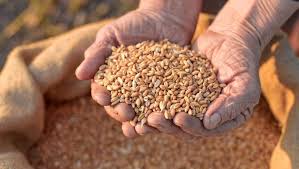 BİTKİSEL ÜRÜN FİYATLARI VE ÜRETİM DEĞERİ, 2018