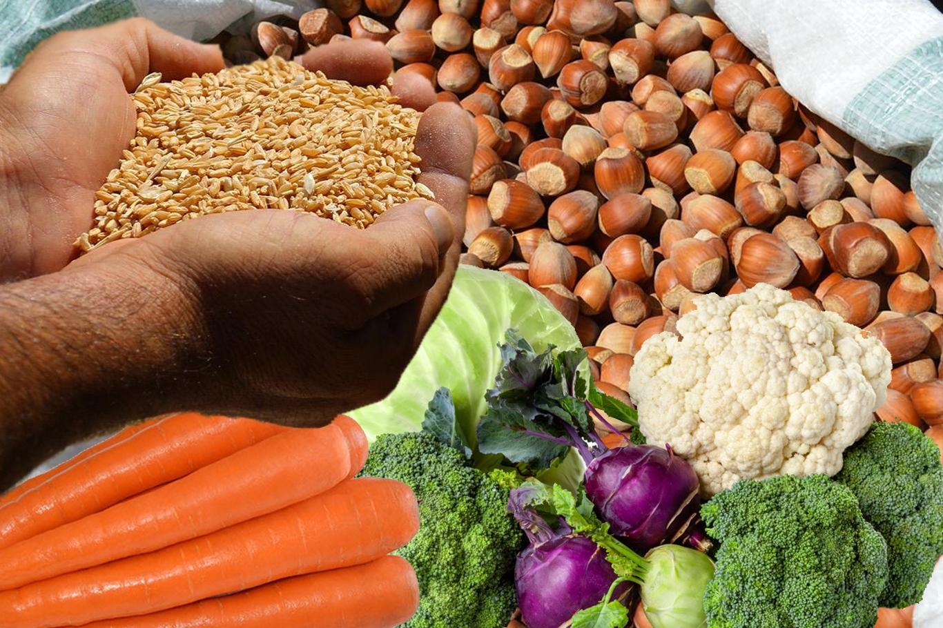 BİTKİSEL ÜRÜN DENGE TABLOLARI