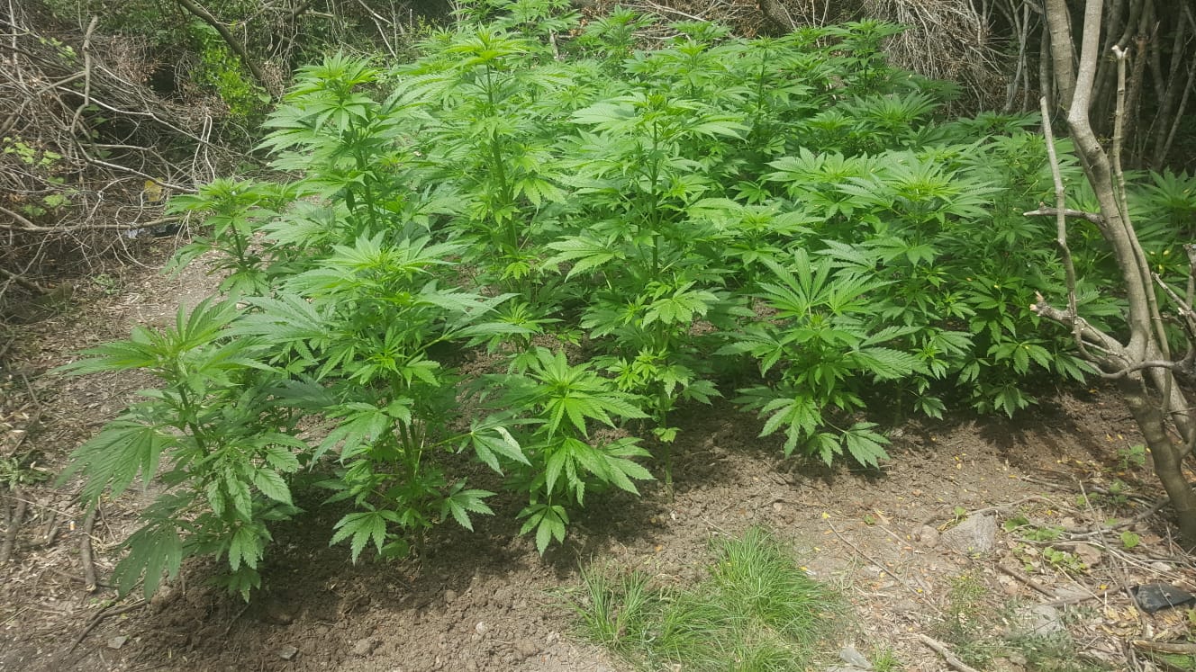 UYUŞTURUCU TACİRİ 2 KİŞİ TUTUKLANDI