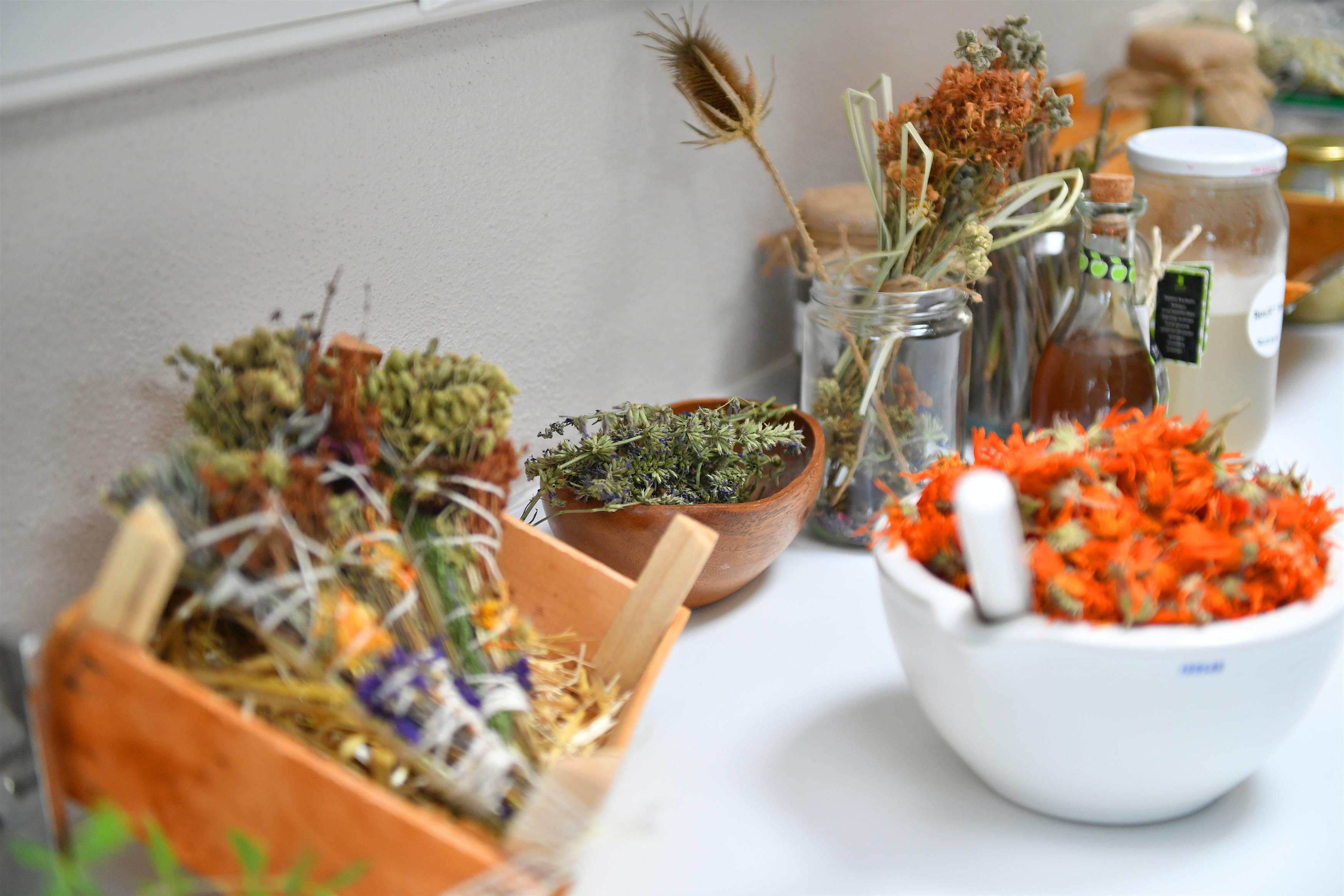 AROMATERAPİNİN KALBİ BALIKESİR’DE ATACAK