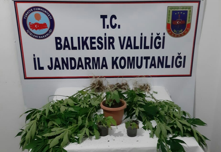 JANDARMA, UYUŞTURUCU TACİRLERİNİN KÂBUSU OLDU