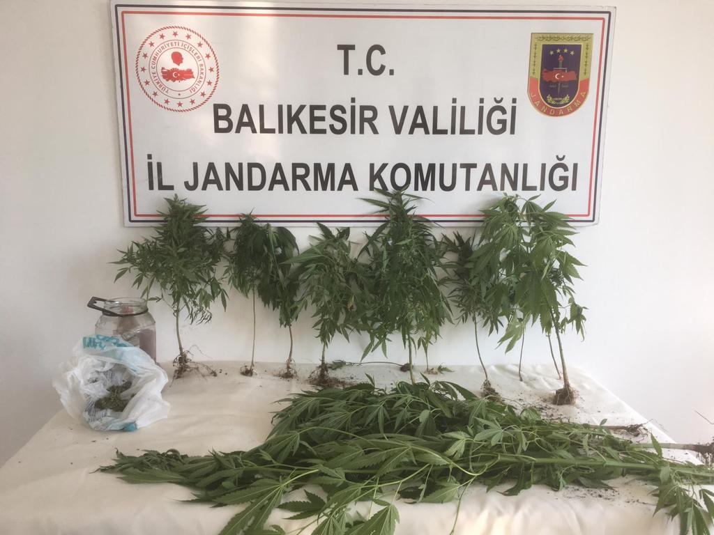 JANDARMA EKİPLERİNDEN UYUŞTURUCUYA GEÇİT YOK