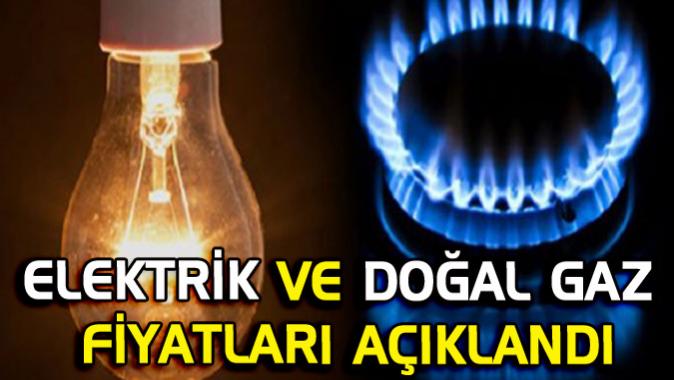 TÜİK, ELEKTRİK VE DOĞAL GAZ FİYAT İSTATİSTİKLERİNİ AÇIKLADI