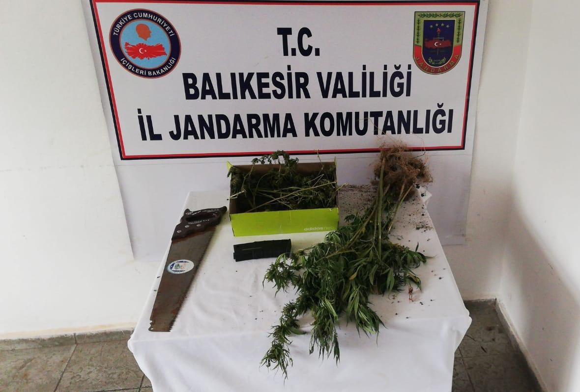 JANDARMADAN UYUŞTURUCU OPERASYONU