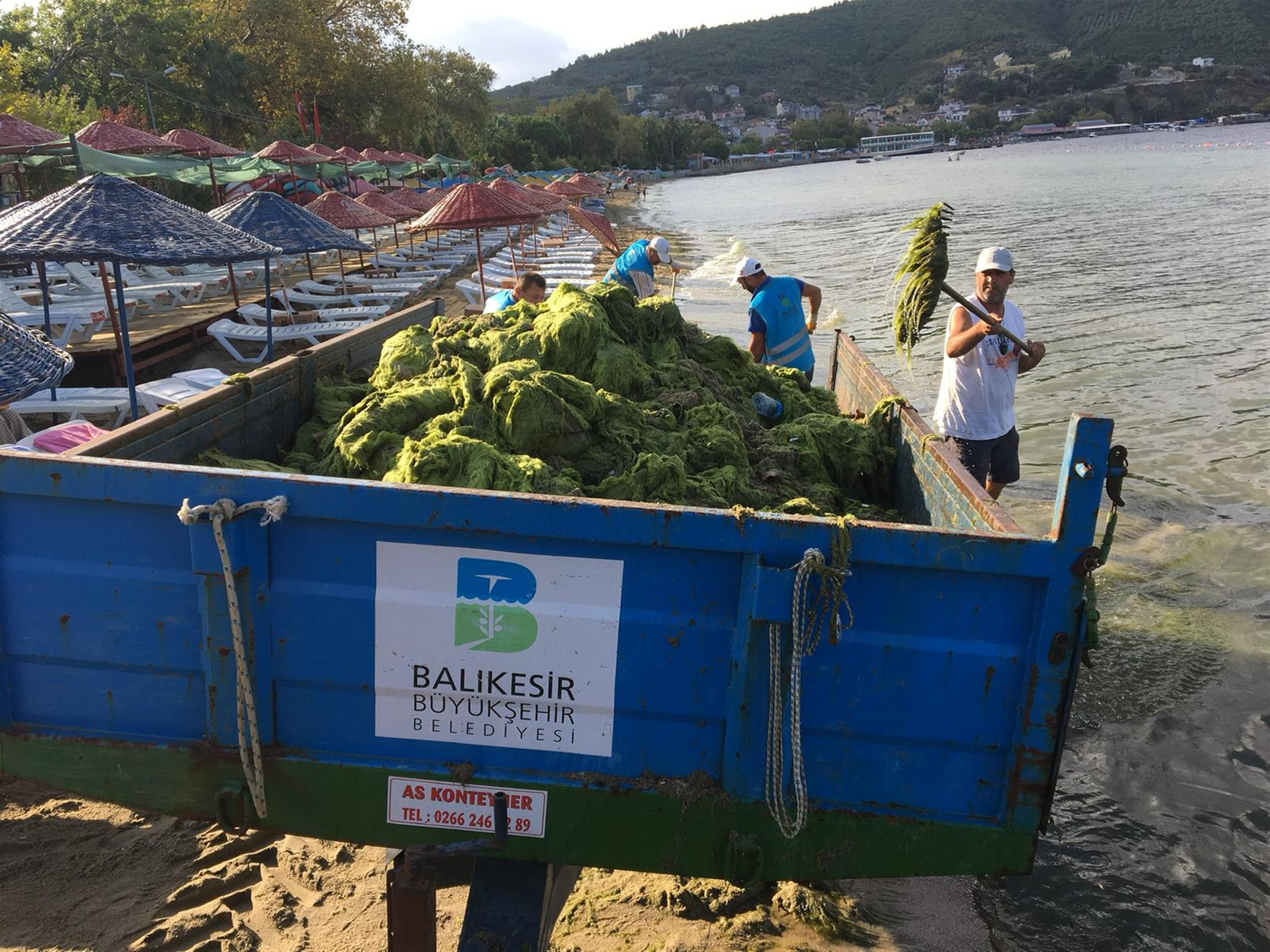 BÜYÜKŞEHİR SAHİLLERDEN 2 BİN 500 TON ÇÖP TOPLADI