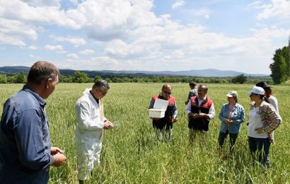 Biyolojik Mücadele ile Sünelere Karşı Mücadele