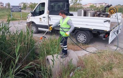 Halk Sağlığı için Haşereyle Mücadele Çalışmaları Yoğunlaştı