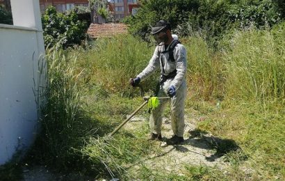Bandırma Belediyesi Yeşil Alanların Bakımına Devam Ediyor