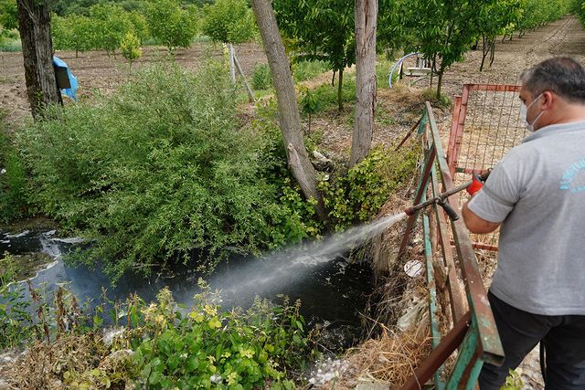 Altıeylül Belediyesi’nden Sivrisinek ve Haşere Mücadelesi