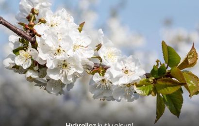 Hıdırellez: Baharın Gelişini Kutlamak