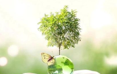 Millî Eğitim Bakanı Yusuf Tekin: “Gelecek Nesillere Temiz ve Yeşil Bir Dünya Bırakmalıyız”