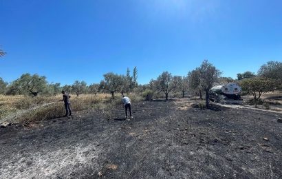 Deve Güreşi Alanı’nda Yangın Çıktı