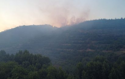 Susurluk’ta Çaylak Mesire Alanı’ndaki Yangın Kontrol Altına Alındı