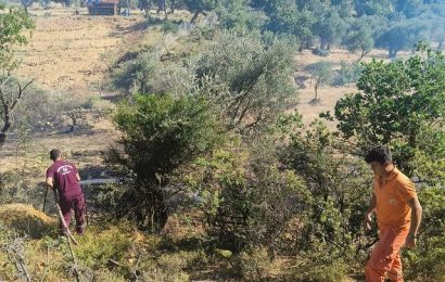 Balıkesir’de Üç Farklı Noktada Çıkan Orman Yangınları Kontrol Altına Alındı