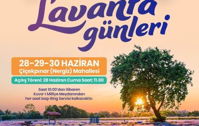 Altıeylül Lavanta Günleri Başlıyor