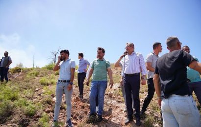 Ayvalık’ta Çıkan Yangın Kontrol Altına Alındı