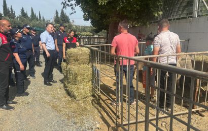 Edremit Kaymakamı Kurban Satış Alanlarını Denetledi