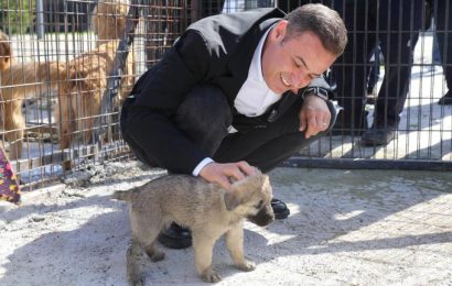 Balıkesir Büyükşehir Belediye Başkanı Sokak Hayvanlarının Haklarını Savunuyor