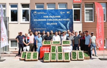 Balıkesir’de Üreticilere 212,000 Sebze Fidesi Dağıtıldı