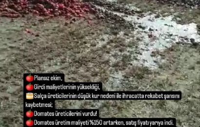 Domates Üreticileri Krizde: Yükselen Maliyetler, Düşen Fiyatlar