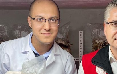 Balıkesir Tarımında “Ölümsüzlük Mantarı” Reishi Hasat Edildi