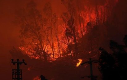 Ülkemizdeki Yangınlar İçin Dayanışma ve Mücadele Çağrısı