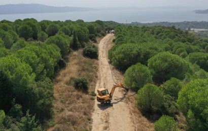 Balıkesir’de 150 Bin Zeytin Ağacına Can Suyu: Yeni Sulama Projesi Başladı
