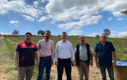 Balıkesir’de Süper Meyve Aronya Hasadı Başladı