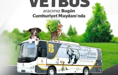 Kepsut’ta Mobil Veteriner Hizmeti Sunuluyor