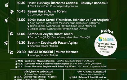 Ayvalık’ta Zeytin Hasat Festivali Coşkusu
