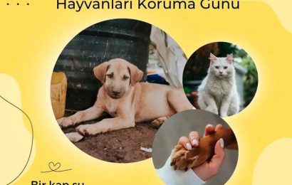 Edremit İlçe Tarım ve Orman Müdürlüğü Doğayı Koruma Çağrısı Yapıyor