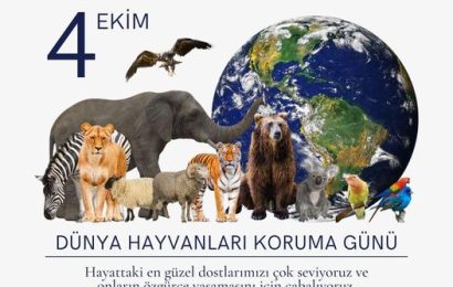 4 Ekim Hayvanları Koruma Günü