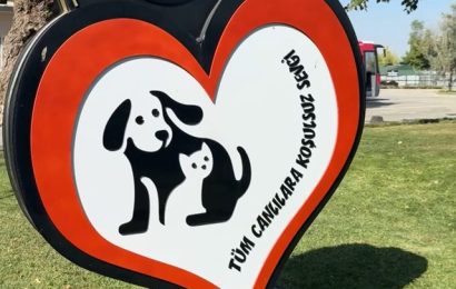 Balıkesir’de Can Dostlara Sahip Çıkılıyor