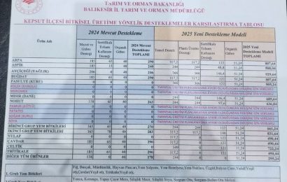 Yeni Destekleme Modeli ile Üretim Planlaması