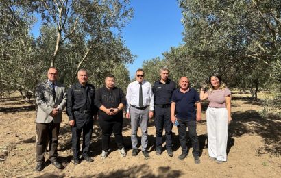 Kaymakam İlyas MEMİŞ, Zeytin Hasat Sezonunda Çoruk Mahallesi’ni Ziyaret Etti