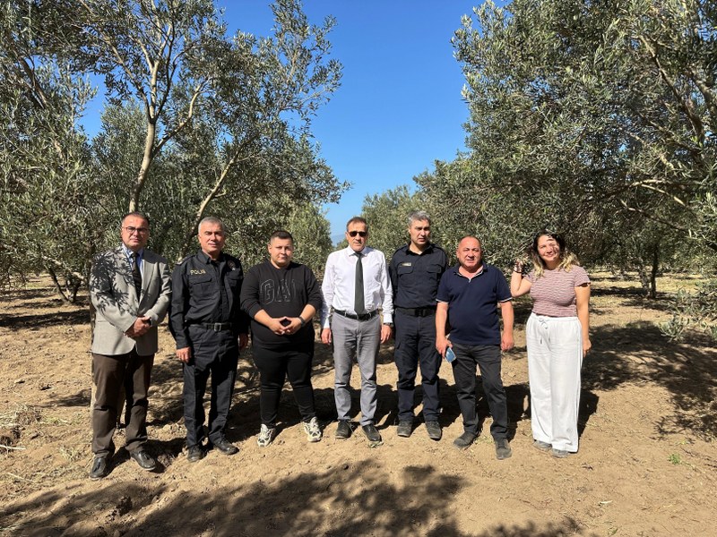 Kaymakam İlyas MEMİŞ, Zeytin Hasat Sezonunda Çoruk Mahallesi’ni Ziyaret Etti