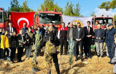 İlçede Ağaçlandırma Etkinliği Gerçekleşti