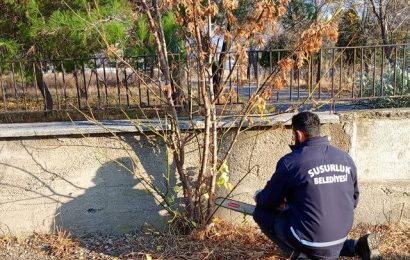 Susurluk’ta Parklarda Kapsamlı Düzenleme Çalışmaları