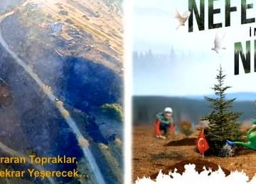 Balıkesir’de 11 Kasım Milli Ağaçlandırma Günü etkinlikleri düzenlenecek.