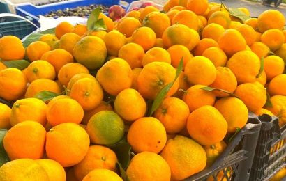 Havran Belediyesi, Havran Pazarında Yöresel Ürünleri Tanıtacak