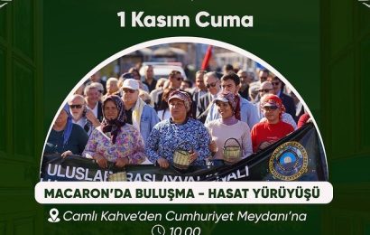 Zeytin Hasat Festivali