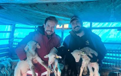 Sındırgı’da Hayvancılık Sağlık Taramaları Devam Ediyor