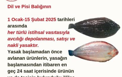 Edremit’te Dil ve Pisi Balığı Avcılığına Dönemsel Yasak Getirildi