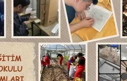 Özel Eğitim Meslek Okulları için Program Güncellemesi